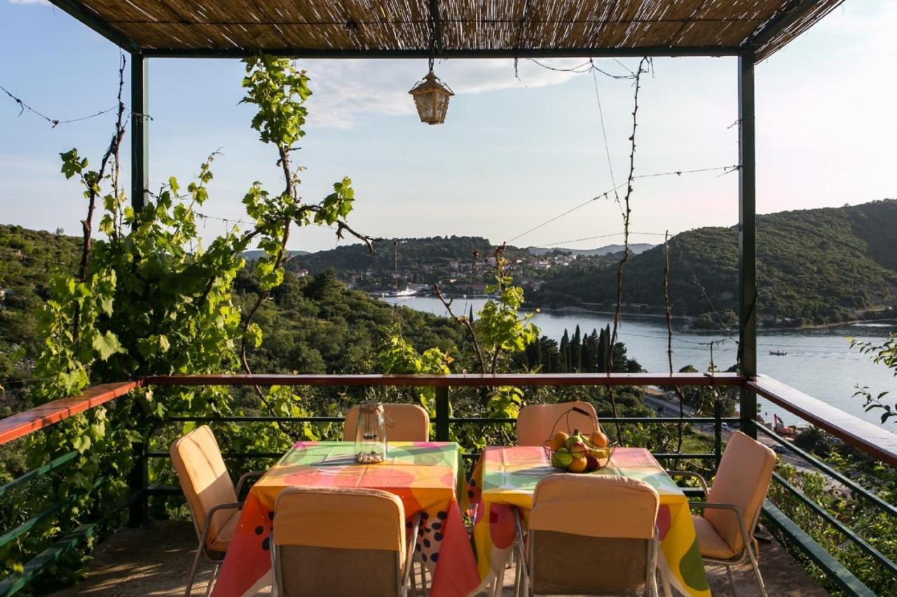 Appartamento Bodul Vacation Zaton (Dubrovnik-Neretva)